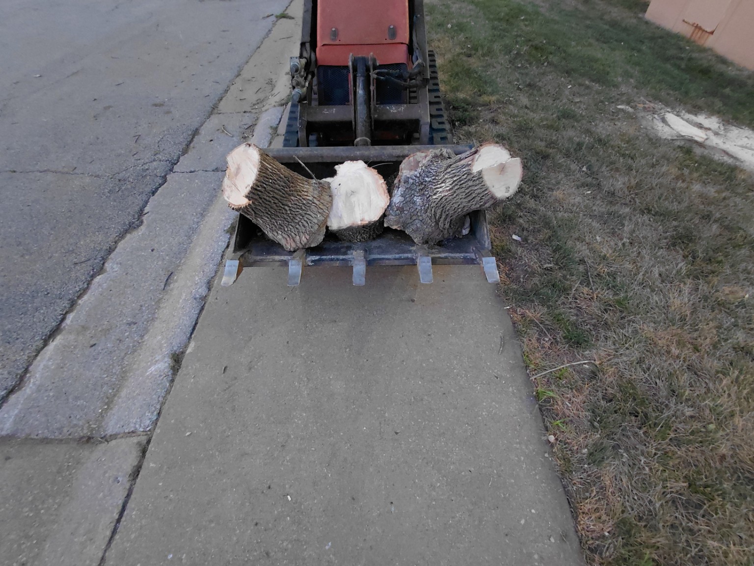 Cut tree trunks loaded into a compact loader at Hampton Target
