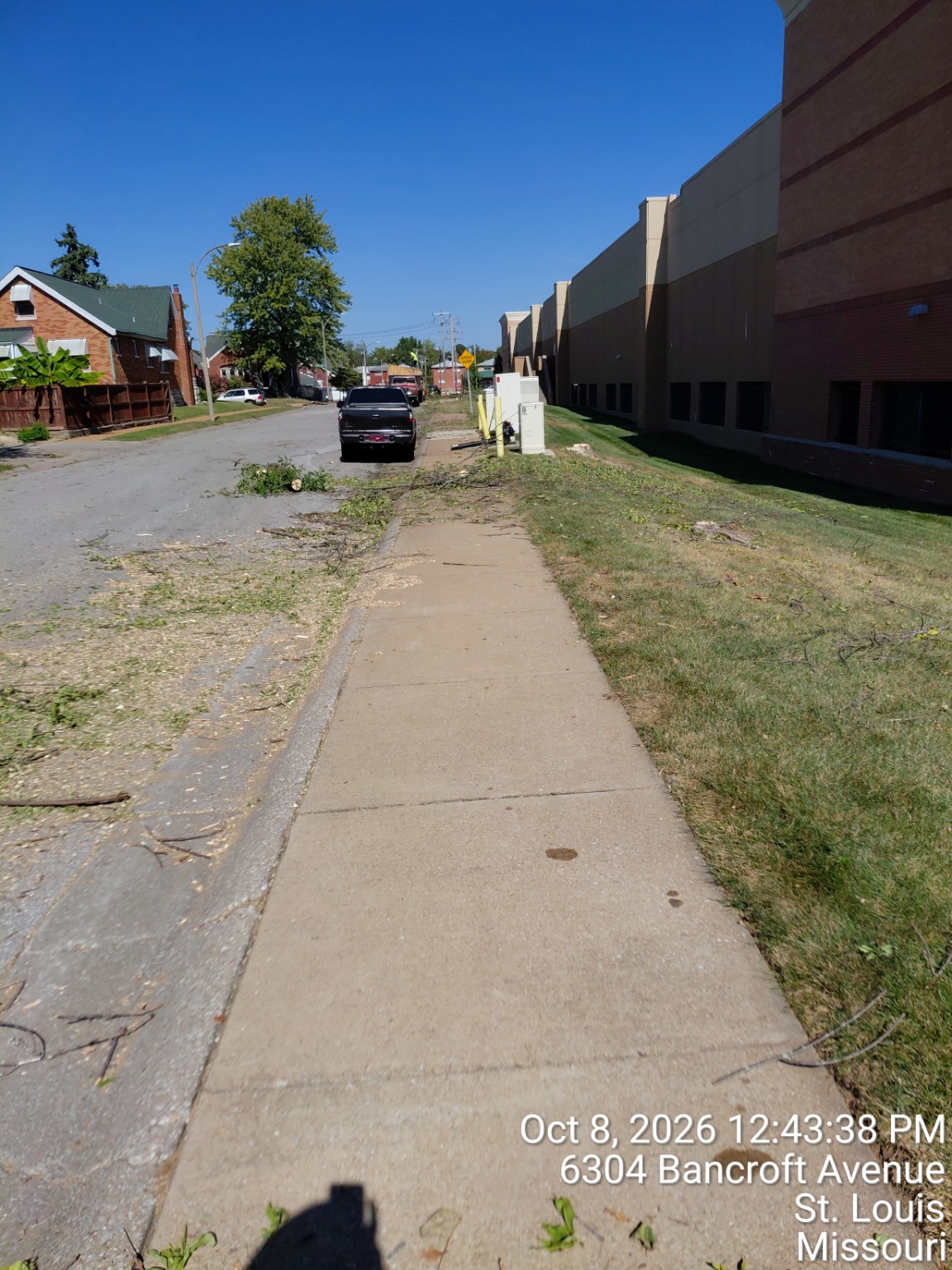 Sidewalk and work area after tree removal