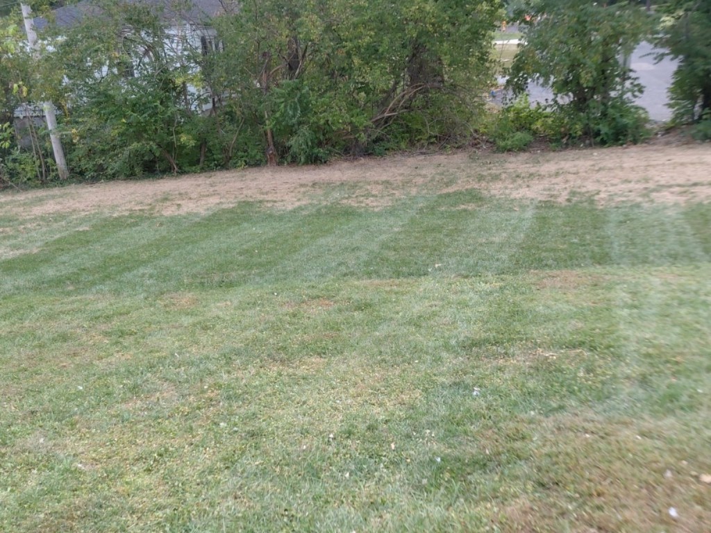Professionally maintained lawn by Prayers Lawn & Landscape in the St. Louis area